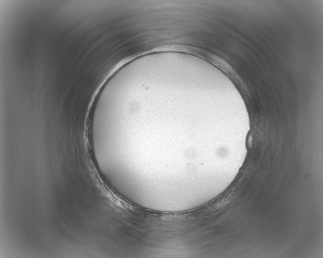 X0000053000908200508051131