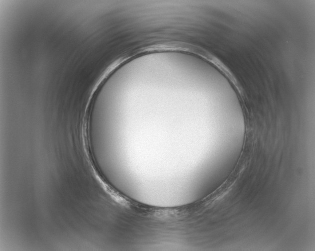 X0000053000909200508051131