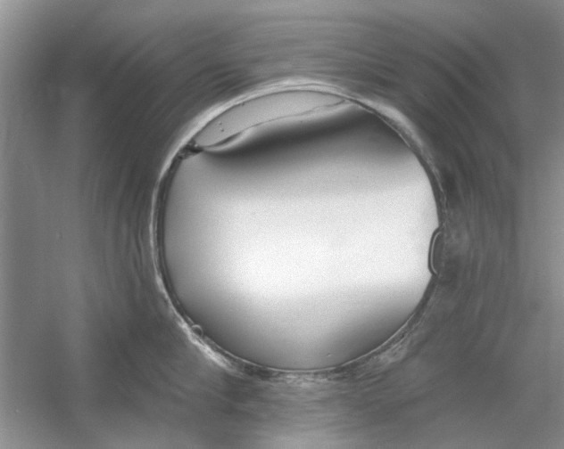 X0000053000910200508051131