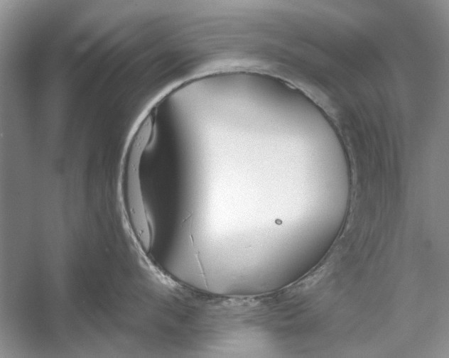 X0000053000912200508051131