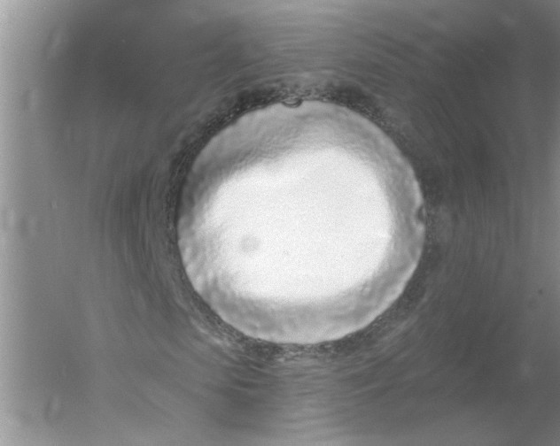 X0000053000913200508051130