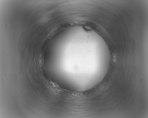 X0000053000915200508051130