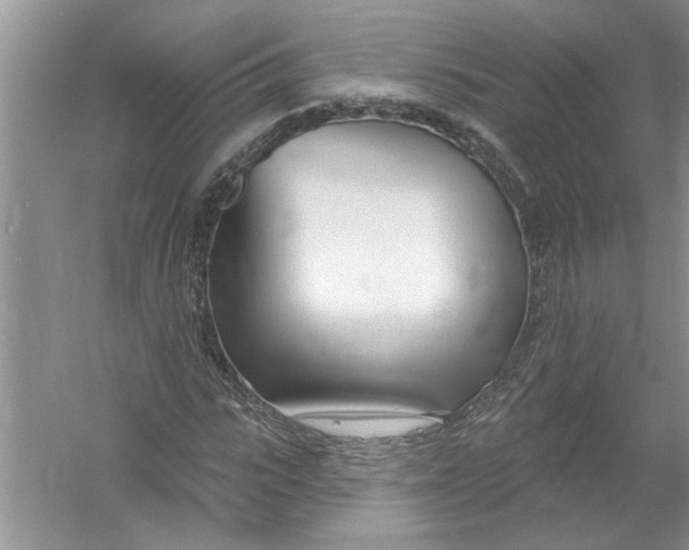 X0000053000919200508051130