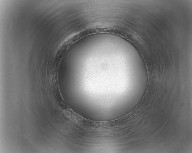 X0000053000920200508051130