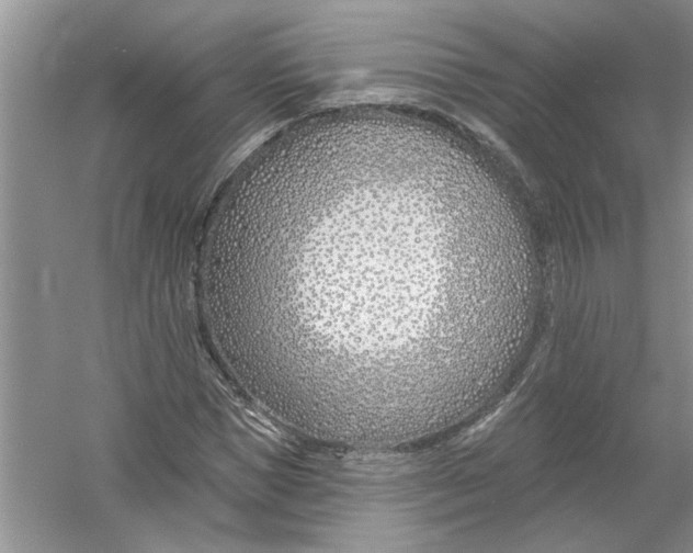 X0000053000921200508051130