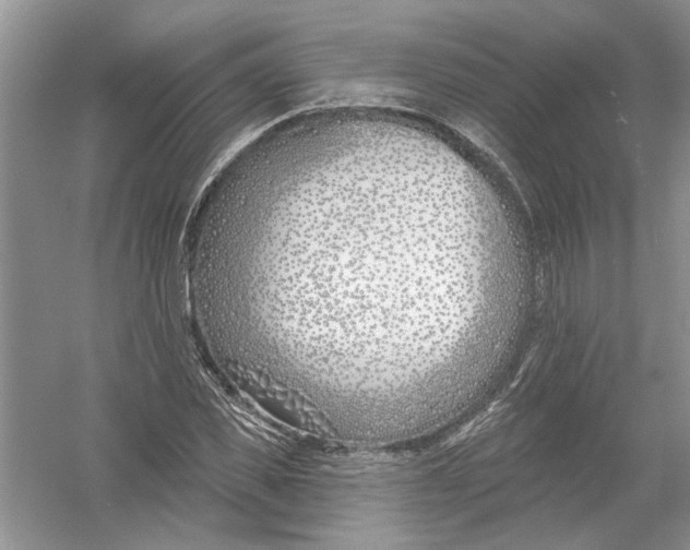 X0000053000925200508051130