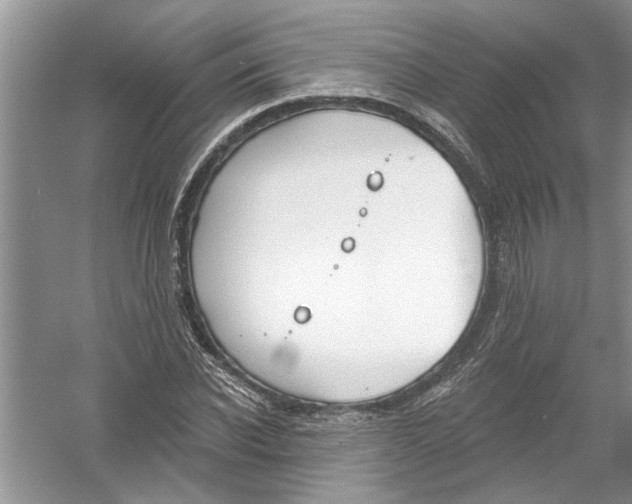 X0000053000926200508051130