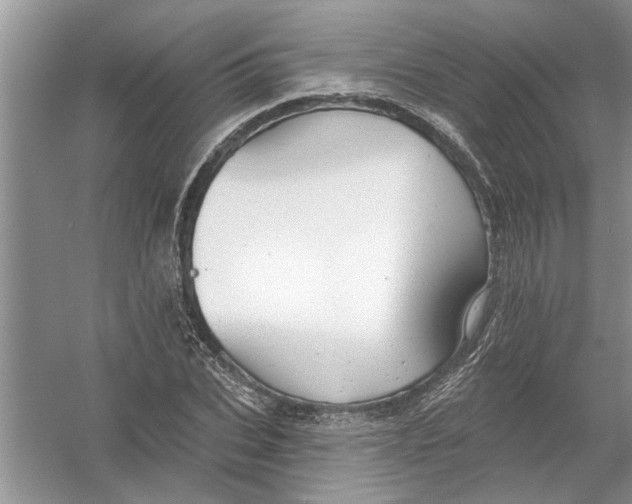 X0000053000927200508051130