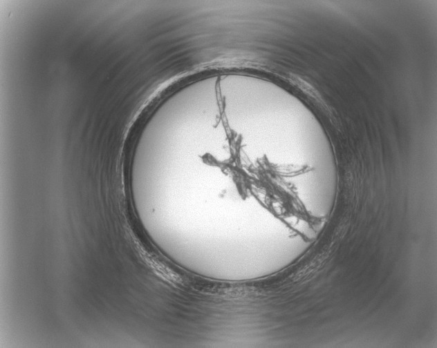 X0000053000934200508051130