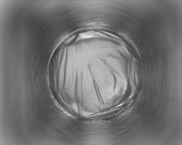 X0000053000941200508051130