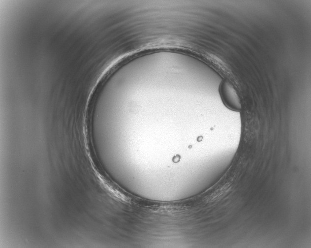 X0000053000942200508051130