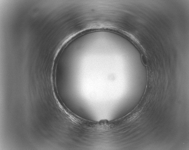 X0000053000943200508051130