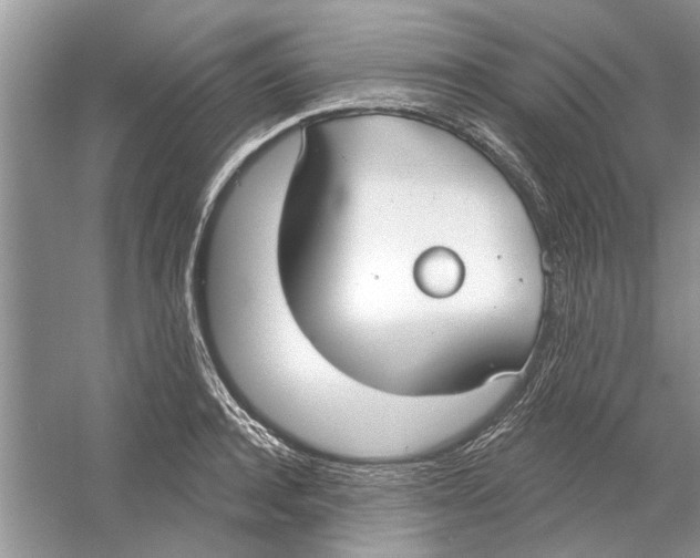 X0000053000944200508051130