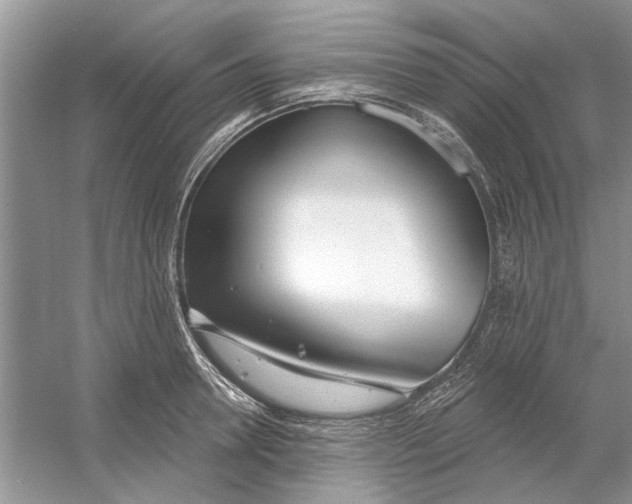 X0000053000946200508051130