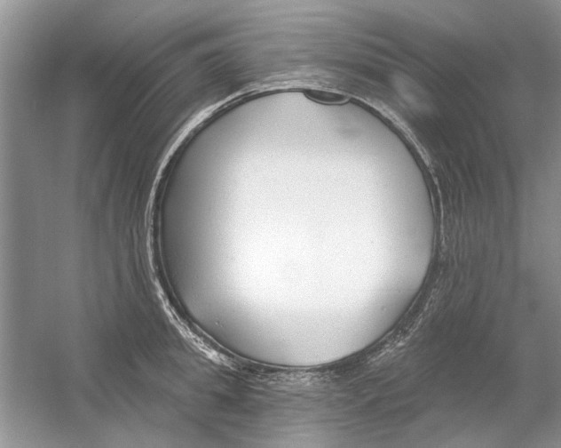 X0000053000949200508051130