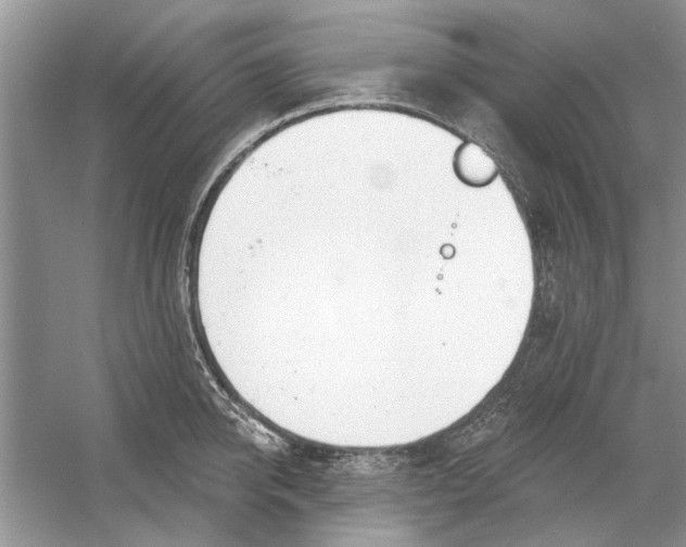 X0000053000950200508051131