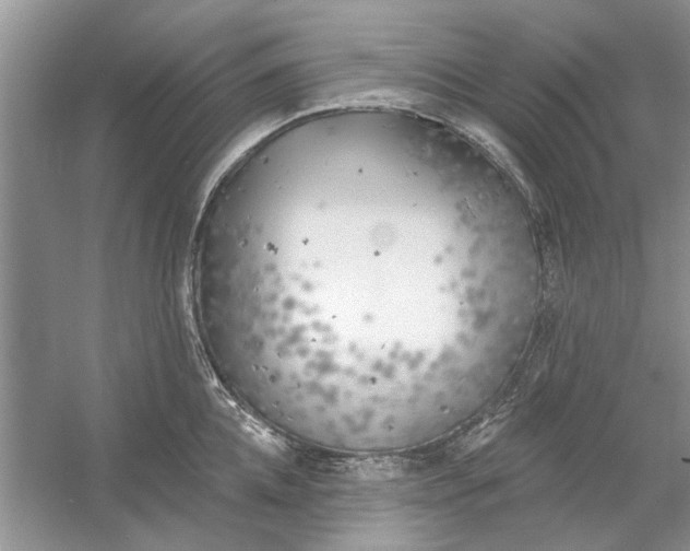 X0000053000952200508051131