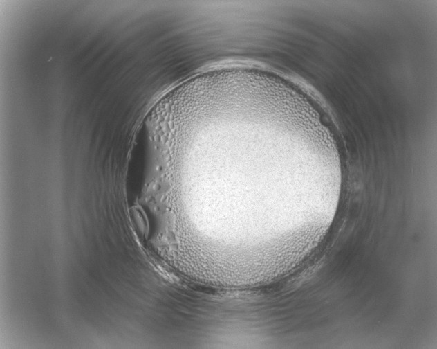 X0000053000953200508051131