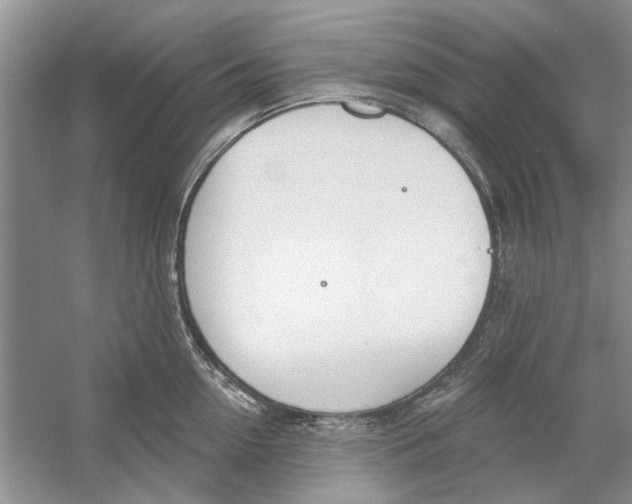 X0000053000954200508051131