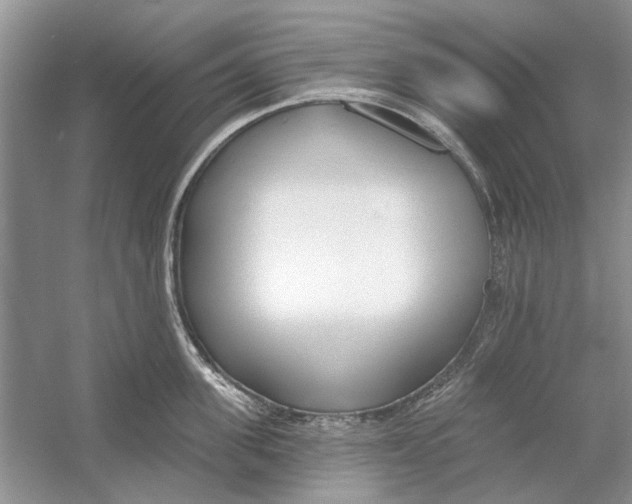 X0000053000955200508051131