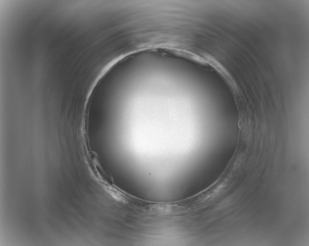 X0000053000956200508051131