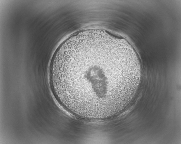 X0000053000957200508051131