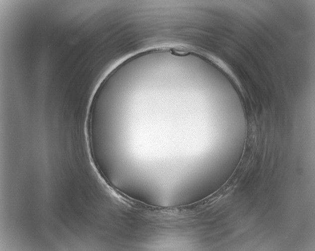 X0000053000959200508051131