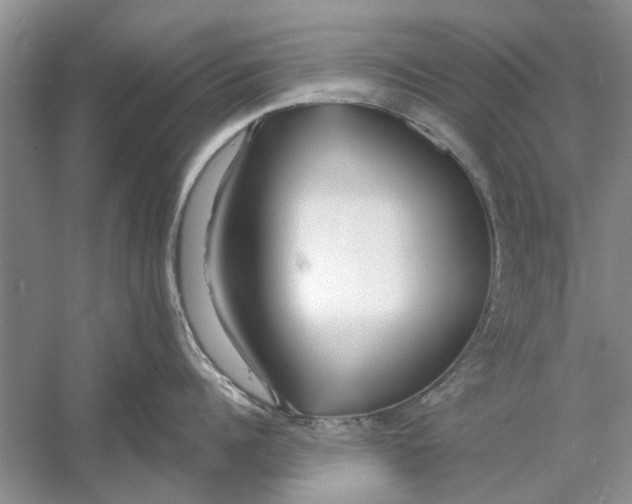 X0000053000960200508051131