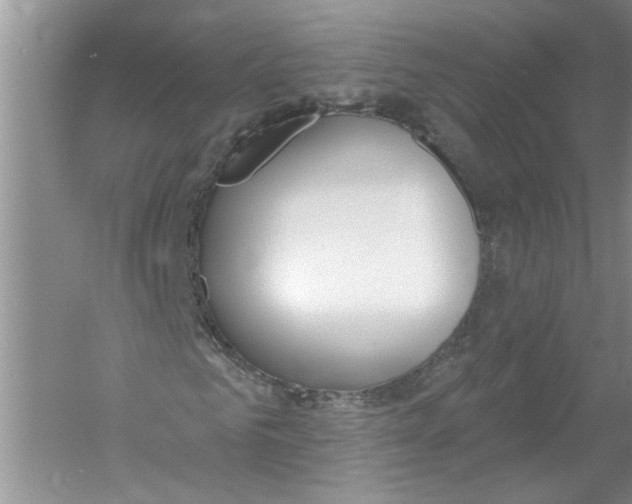 X0000053000961200508051130