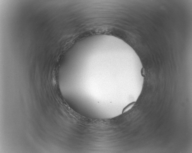 X0000053000962200508051130