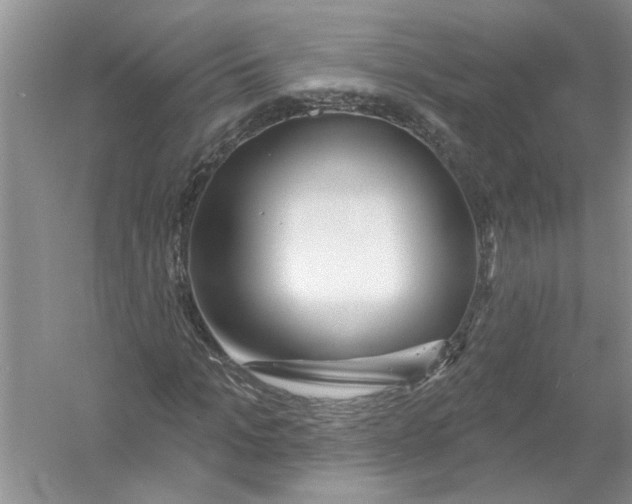 X0000053000965200508051130