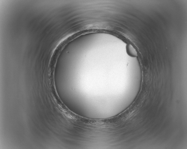 X0000053000971200508051130