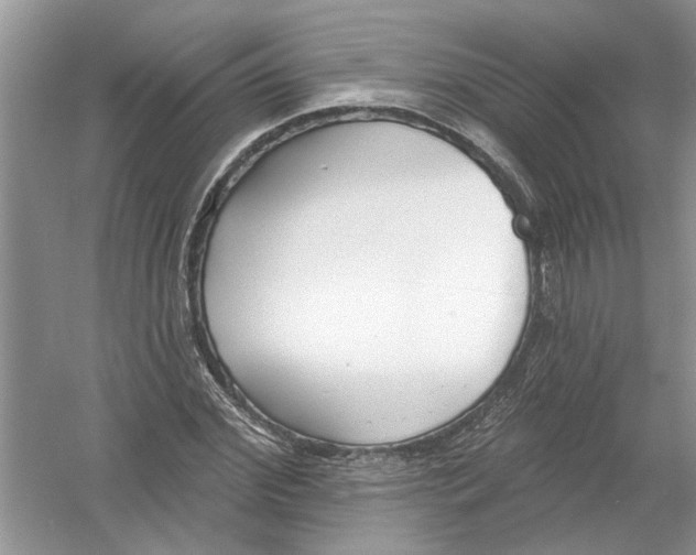 X0000053000972200508051130