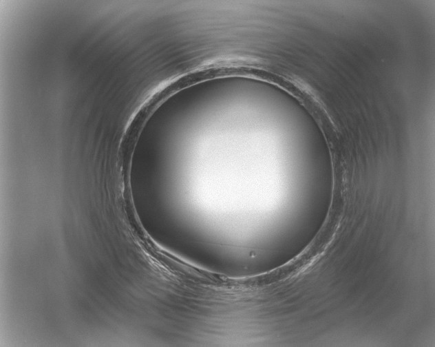 X0000053000973200508051130