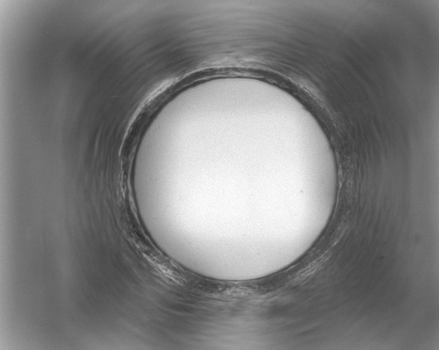 X0000053000974200508051130