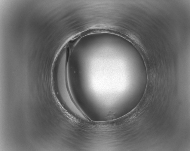 X0000053000976200508051130