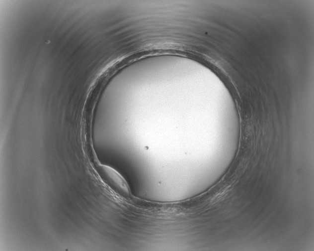 X0000053000979200508051130