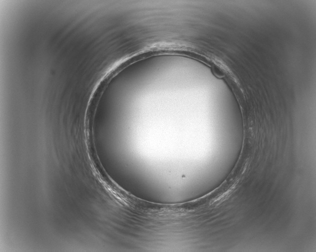 X0000053000981200508051130