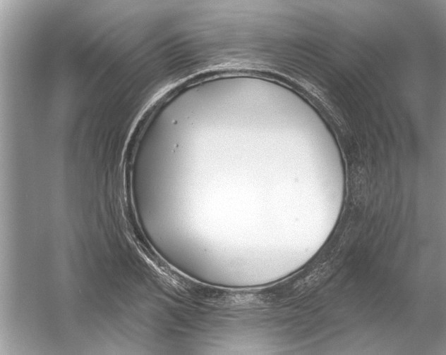 X0000053000982200508051129