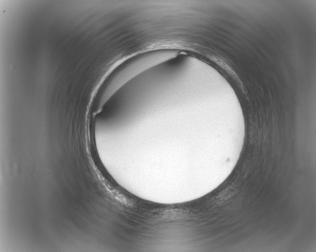 X0000053000984200508051129