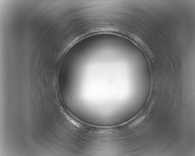 X0000053000985200508051129