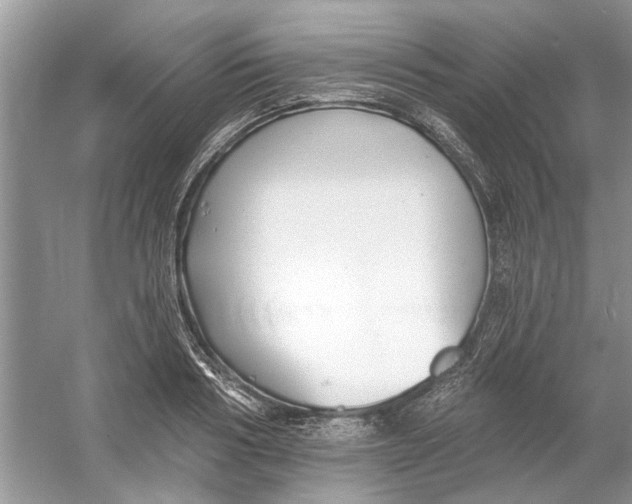 X0000053000986200508051129