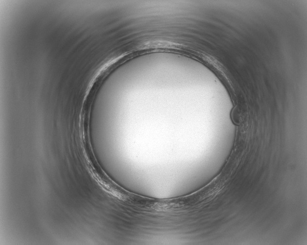 X0000053000987200508051129