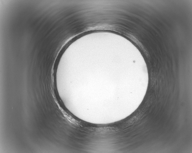 X0000053000988200508051129