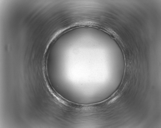 X0000053000989200508051129