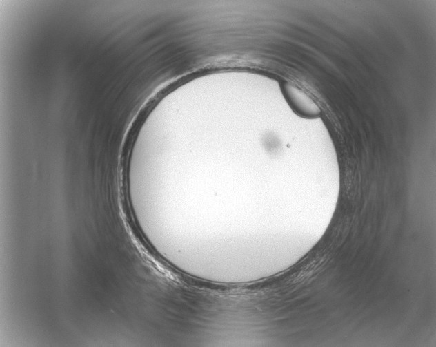 X0000053000992200508051129