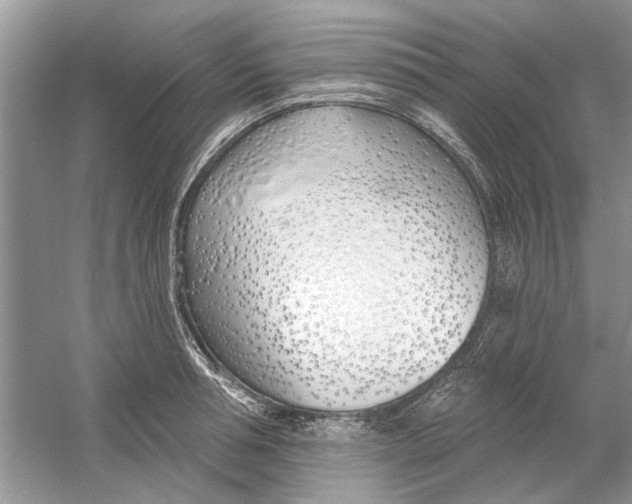 X0000053000994200508051129