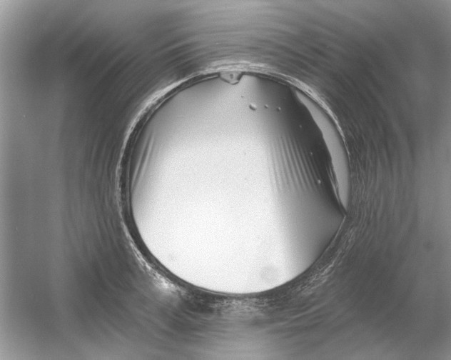 X0000053000995200508051129