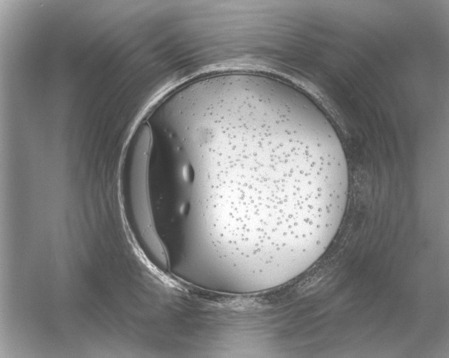 X0000053000998200508051129