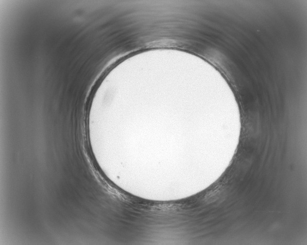 X0000053001000200508051129